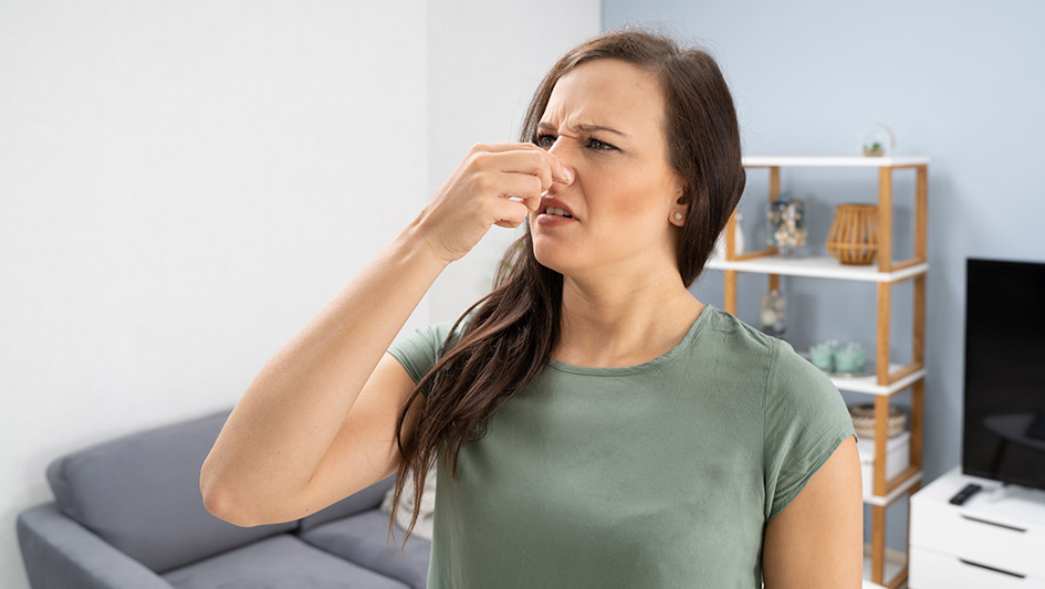 Six Common Air Conditioner Smells Decoded and How to Repair the Problem